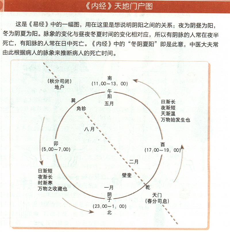冬陰夏陽(yáng)從脈象上怎樣區(qū)分？