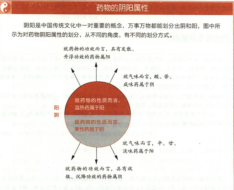 什么是氣味陰陽？