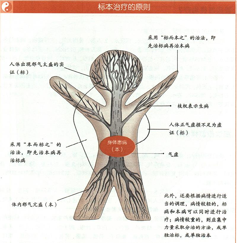 什么是標(biāo)本陰陽？