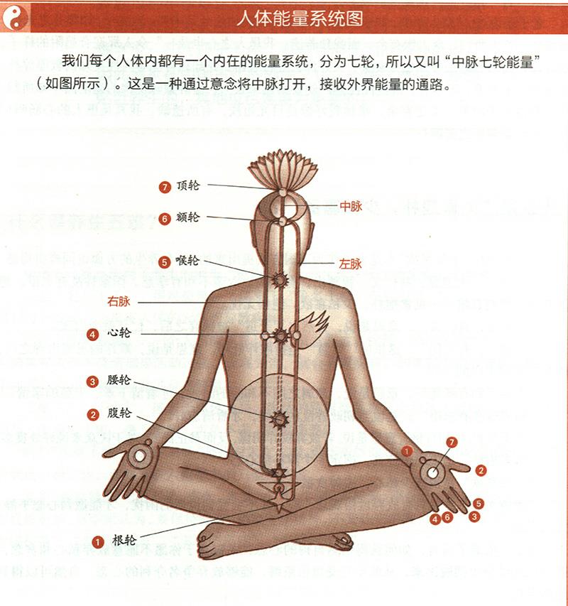 道家的“無為”為何能養(yǎng)生？