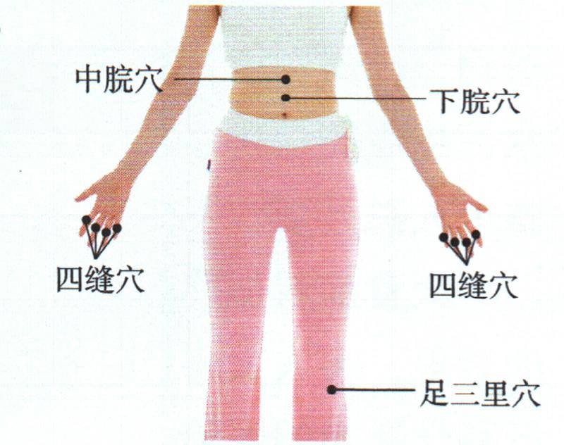 按摩足三里穴、四縫穴、中脘穴，促進(jìn)吸收增點(diǎn)肉