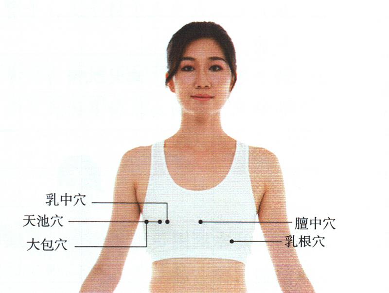 按摩胸部穴位及乳房，豐胸又力挺