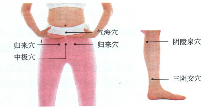 按摩歸來穴、中極穴等，健脾調(diào)經(jīng)更助孕