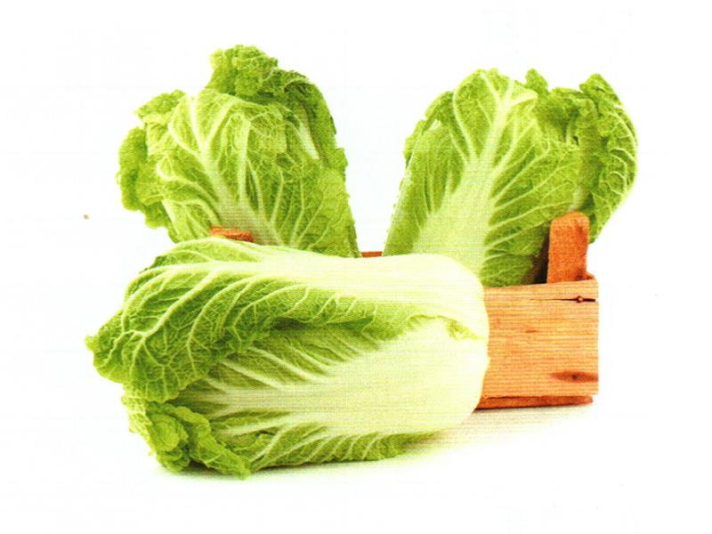 潤(rùn)腸排毒——大白菜