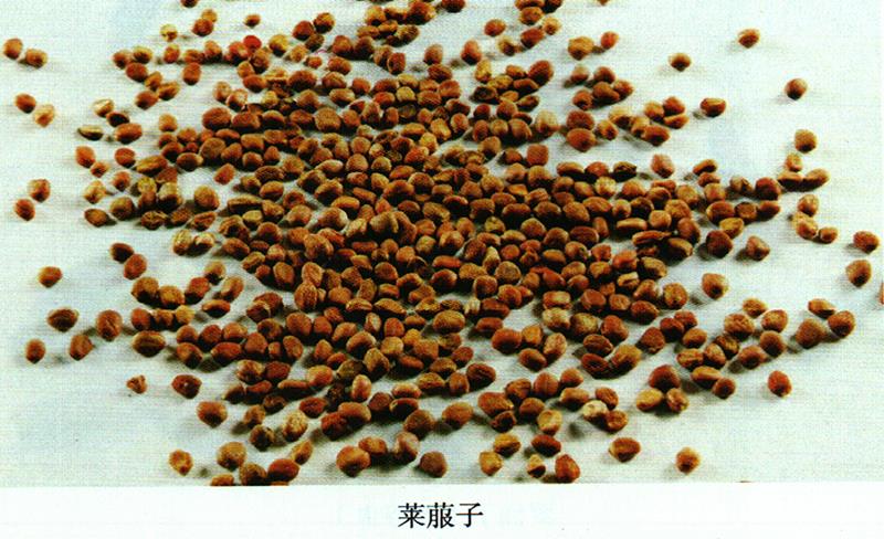治痤瘡、雀斑方