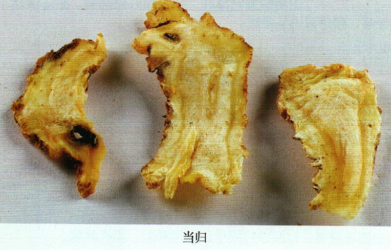 治跌打紅腫、炎腫方
